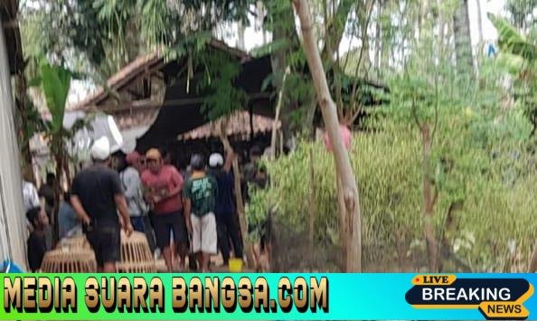 KALANGAN SABUNG AYAM DI KALIPURO DI DUGA ADA BACKUP DARI OKNUM WARTAWAN