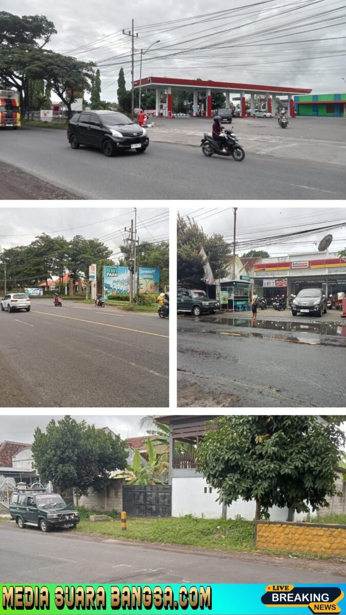 “Warga Mengeluh, Yayasan Al Ashrof Bongkar Kondisi Jalan Banyuwangi yang Memprihatinkan”