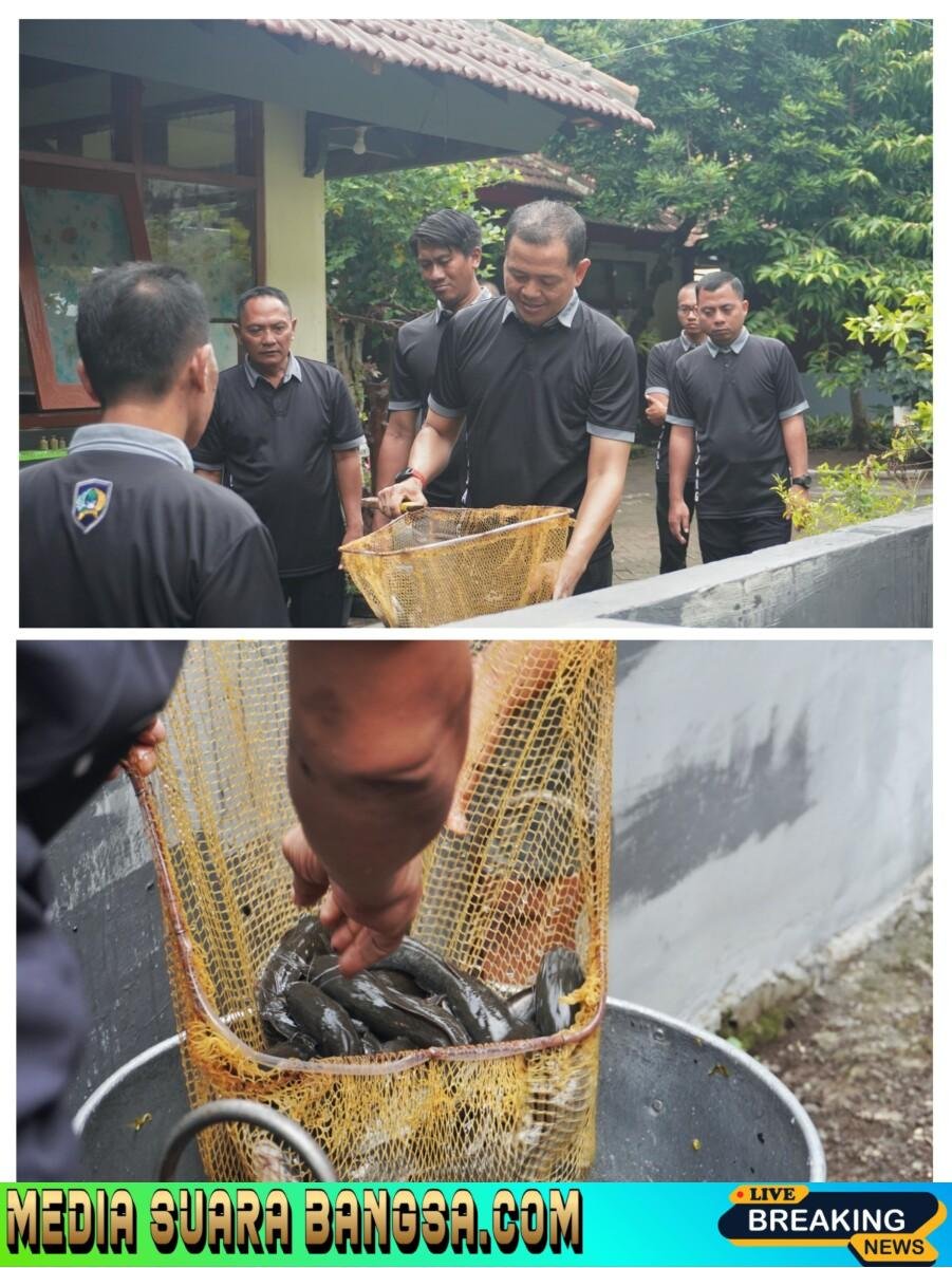 Lapas Lumajang Panen 67 Kg Lele, Wujud Nyata Pembinaan dan Dukung Ketahanan Pangan