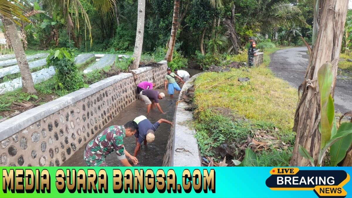 Babinsa Koramil 0825/20 Songgon Bersama Warga Gelar Karya Bhakti Pembersihan Saluran Irigasi Dan Perbaikan Jalan Berlubang