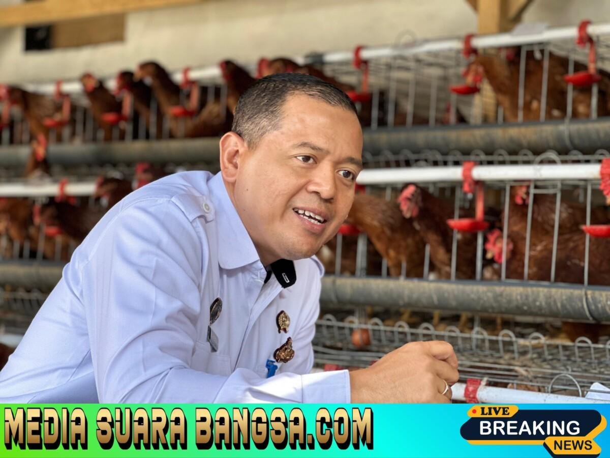 LAPAS KELAS IIB LUMAJANG HASILKAN 50 TELUR AYAM PER HARI DARI PROGRAM PEMBINAAN PETERNAKAN