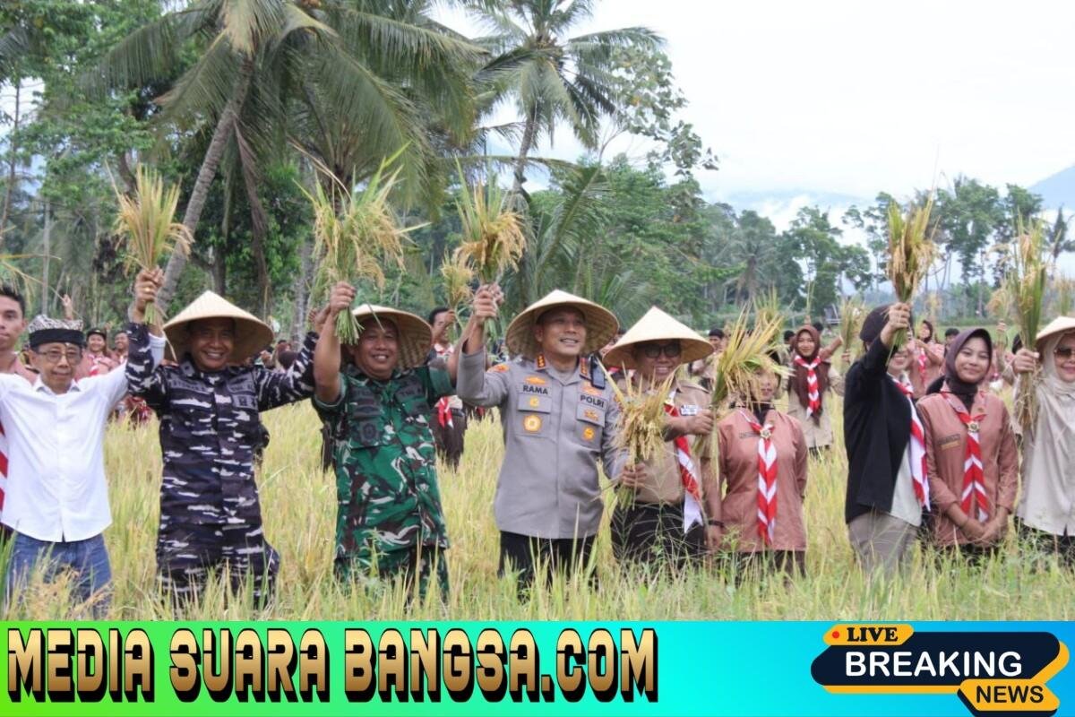 Sempu Bergerak !! TNI – POLRI Bersama Pemkab Banyuwangi Wujudkan Swasembada Pangan Lewat Panen Padi dan Tanam Jagung Kuartal IV