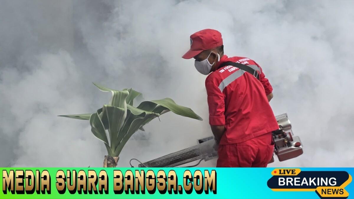 Lapas Lumajang Sigap Cegah DBD melalui Fogging dan Koordinasi dengan Dinkes