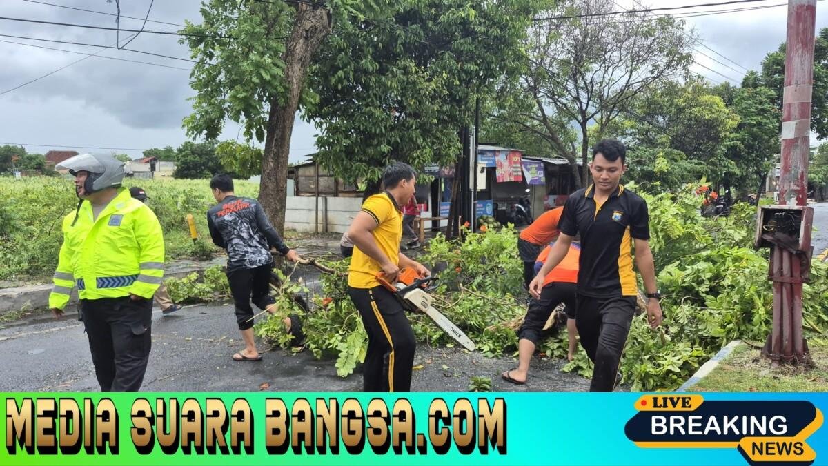 Respon Cepat Polresta Banyuwangi Atasi Pohon Tumbang Akibat Angin Puting Beliung
