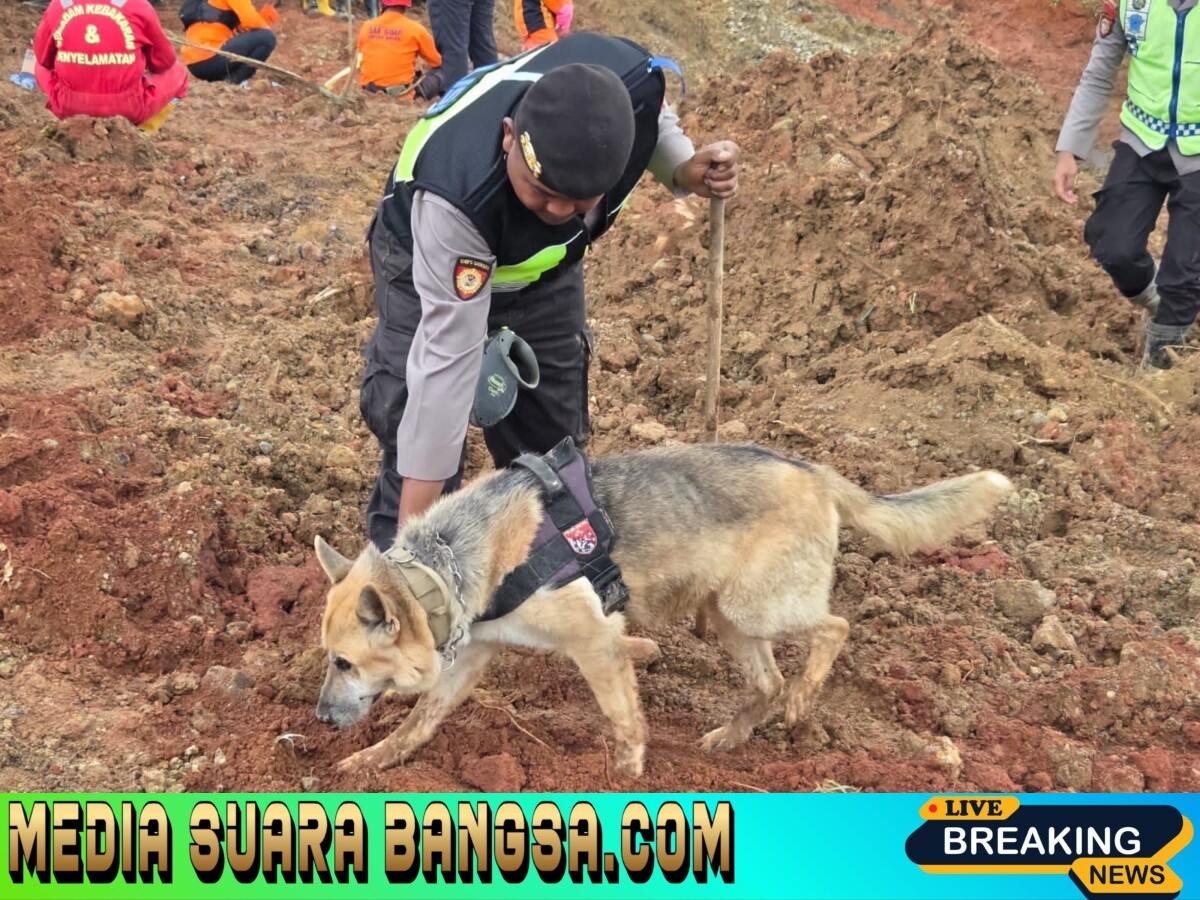 Polri Kerahkan Anjing Pelacak dalam Pencarian Korban Longsor Cilacap