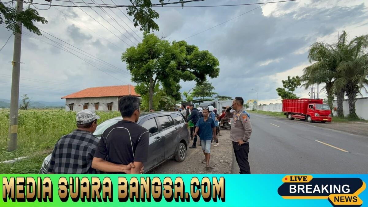Operasi Zebra Semeru Polres Situbondo Ungkap Dugaan Penggelapan Mobil Rental