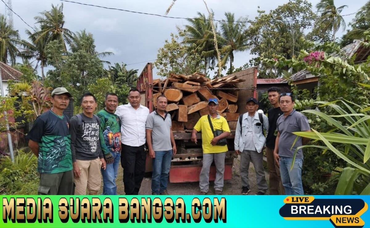 Puluhan Kayu Jati Ilegal Ditemukan di Belakang Rumah Warga Pesanggaran