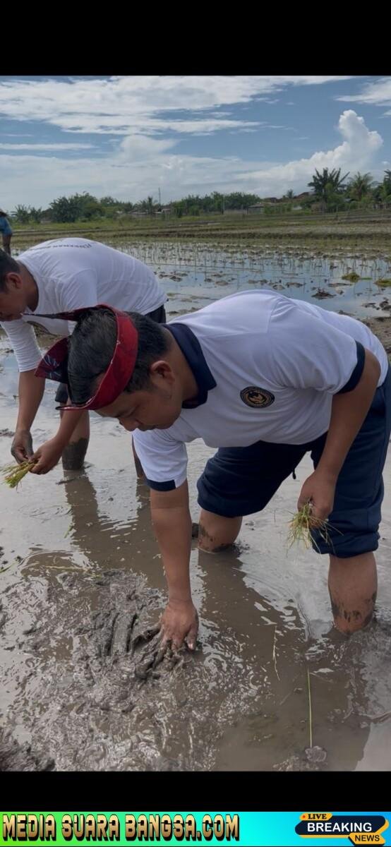 Lahan SAE Lapas Banyuwangi Mulai Ditanam Padi, Kalapas: Dukung Ketahanan Pangan dan Wujud Program Pembinaan