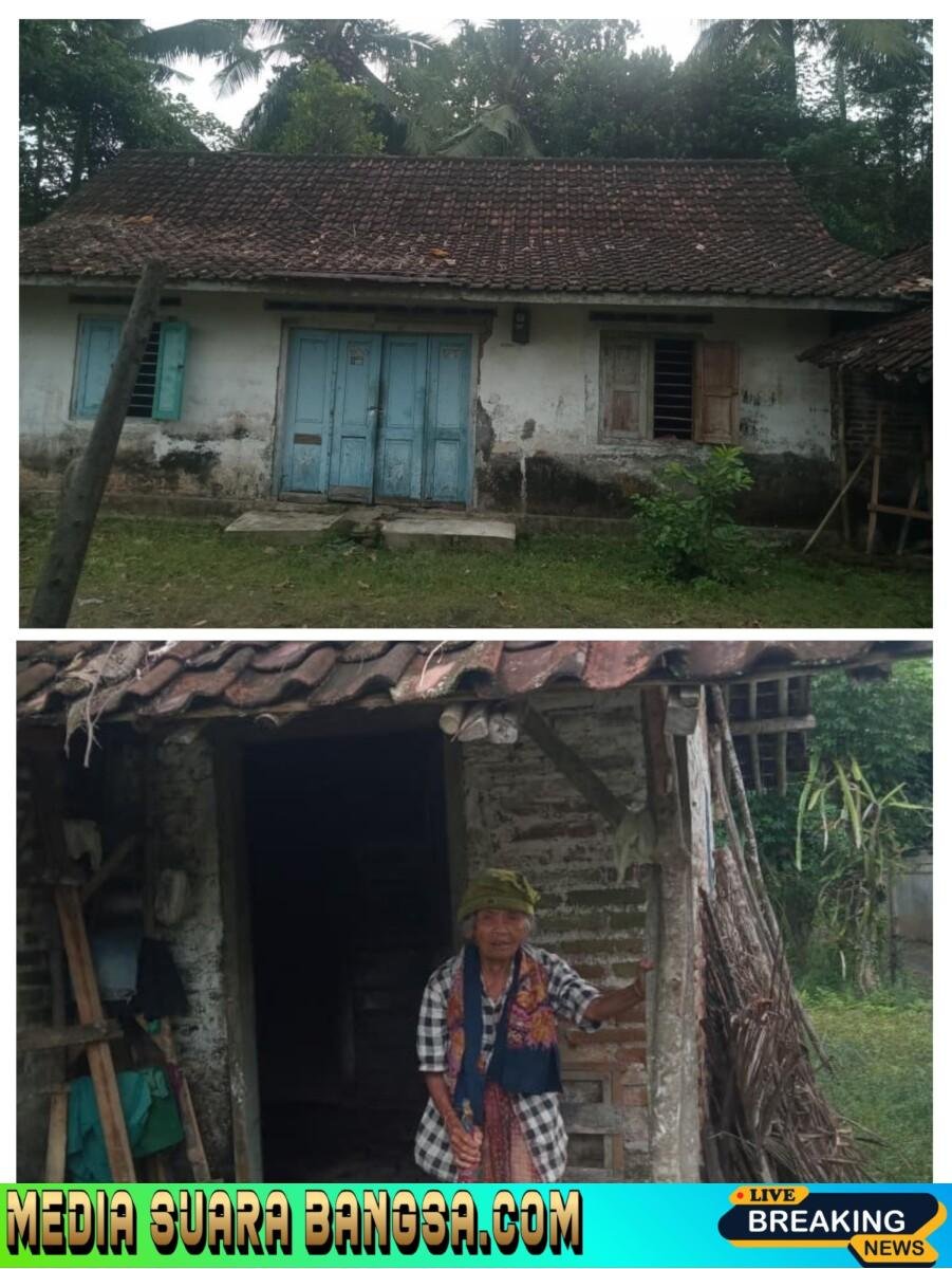 Atap Rumah Nenek Asal Banyuwangi Ini Hampir Roboh, Tapi Bantuan Tak Kunjung Datang