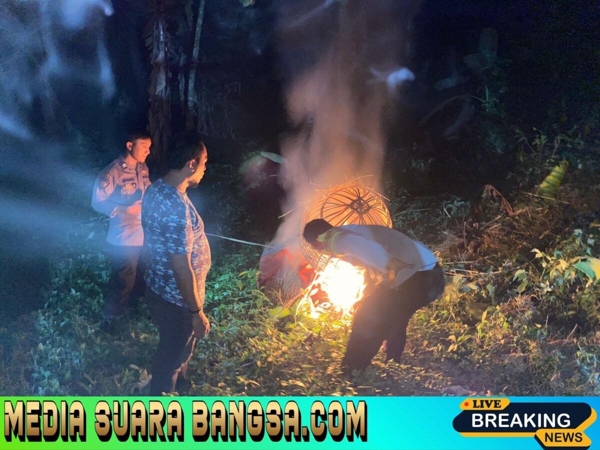 Polres Malang Kembali Bongkar Lokasi Judi Sabung Ayam di Sumberpucung