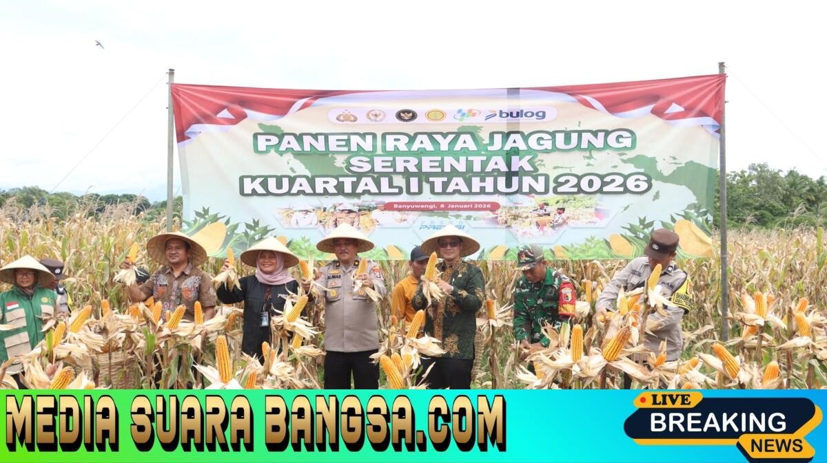 Polresta Banyuwangi Gelar Panen Raya Jagung Serentak Kuartal I Tahun 2025