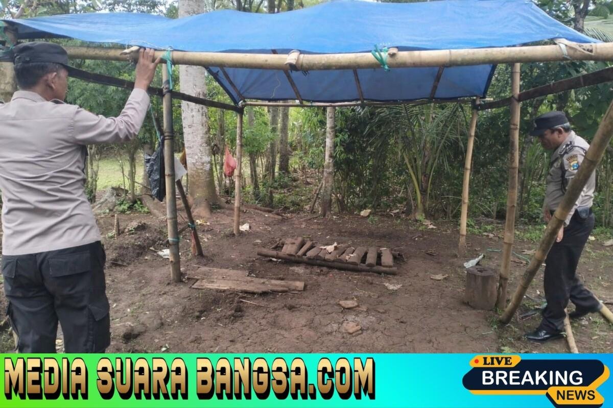 Polres Malang Kembali Bongkar Area Sabung Ayam di Kalipare