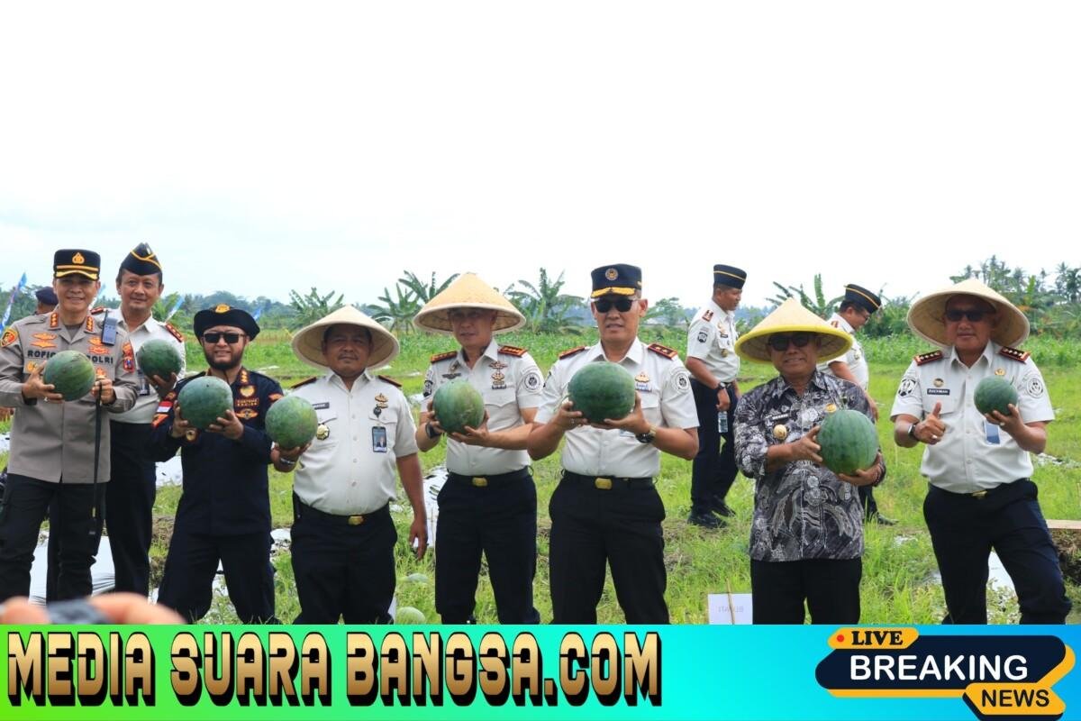 Panen Raya di Lapas Banyuwangi Hasilkan 3 Ton Semangka, Sebagian Hasil Penjualan Akan Disumbangkan untuk Bencana Sumatera