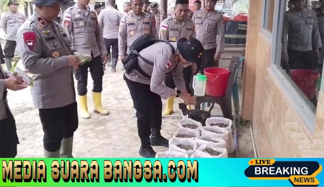 Lumpur Sisa Banjir Jadi Harapan: Kapolda Aceh Inisiasi Penanaman Palawija untuk Ketahanan Pangan di Aceh Tamiang