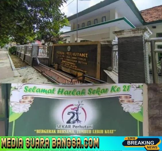 Adm Perhutani Banyuwangi Ucapkan Selamat Harlah ke-21 Sekar Perhutani