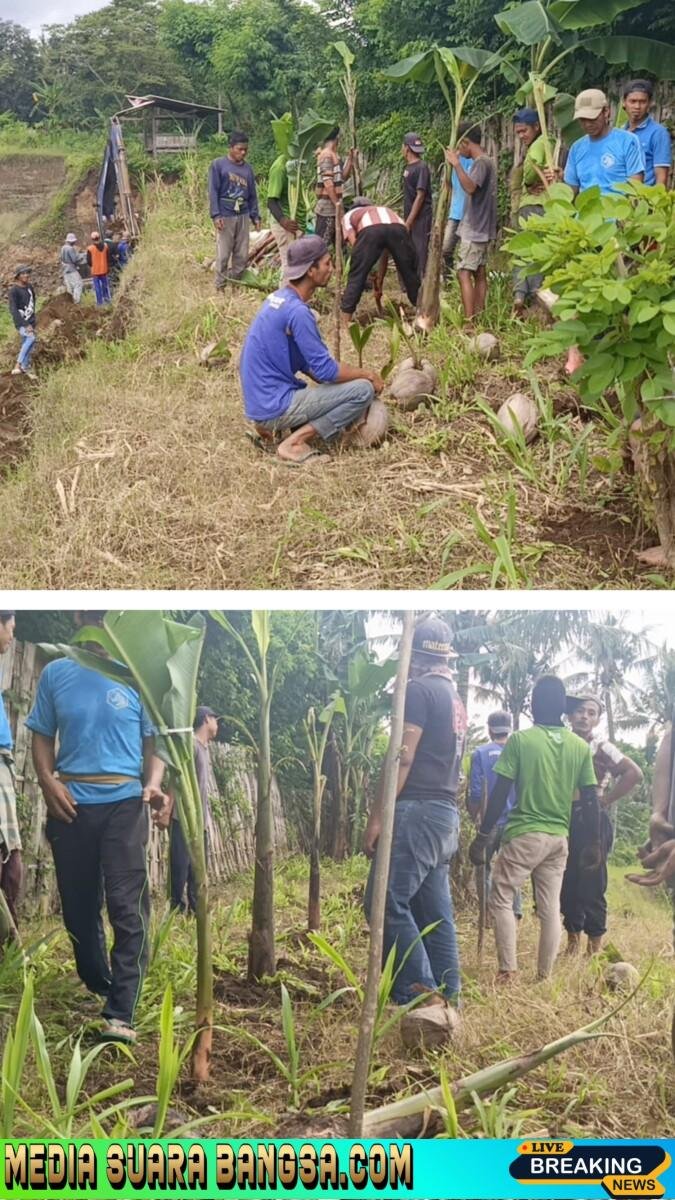 CV. Indah Jaya dan PT. Banyuwangi Paving  Lakukan Reboisasi Bekas Tambang Galian C di Klatak, Ketum Serbu Wangi Mohammad Faiq Beri Apresiasi