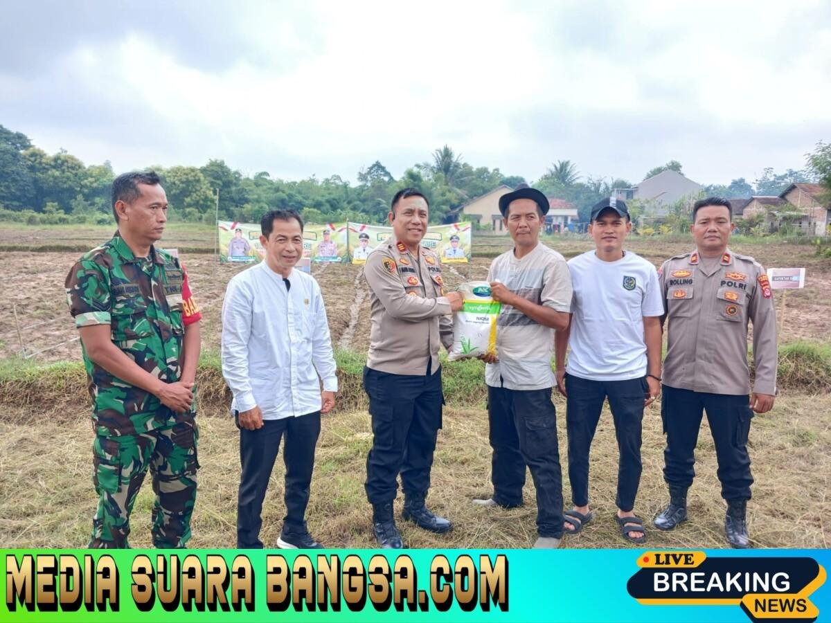 Polsek Tigaraksa Laksanakan Program Ketahanan Pangan Penanaman Jagung Hibrida 1 Desa 2 Hektar di Desa Daru
