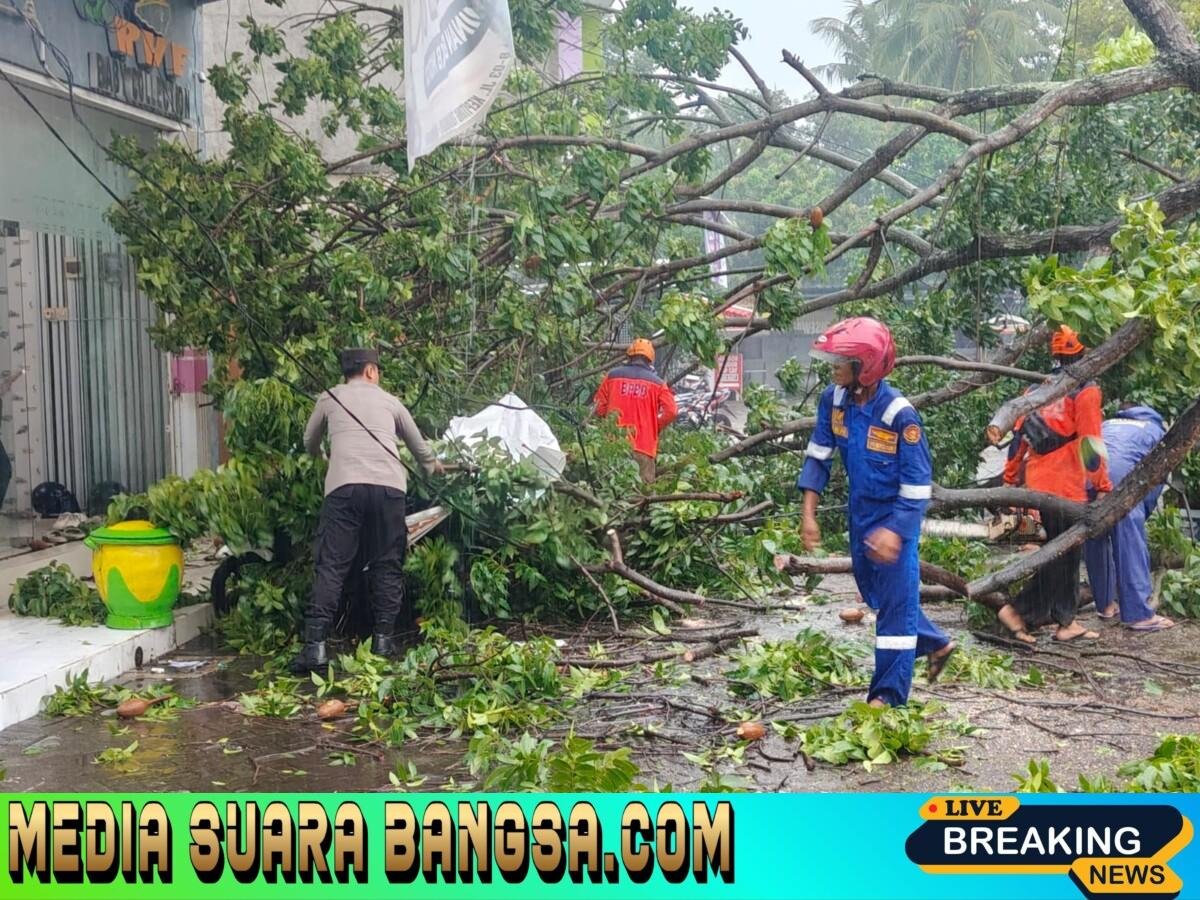 Polsek Banyuwangi Bersama Instansi Terkait Gerak Cepat Evakuasi Pohon Tumbang Pasca Hujan Lebat di Jl. Kepiting