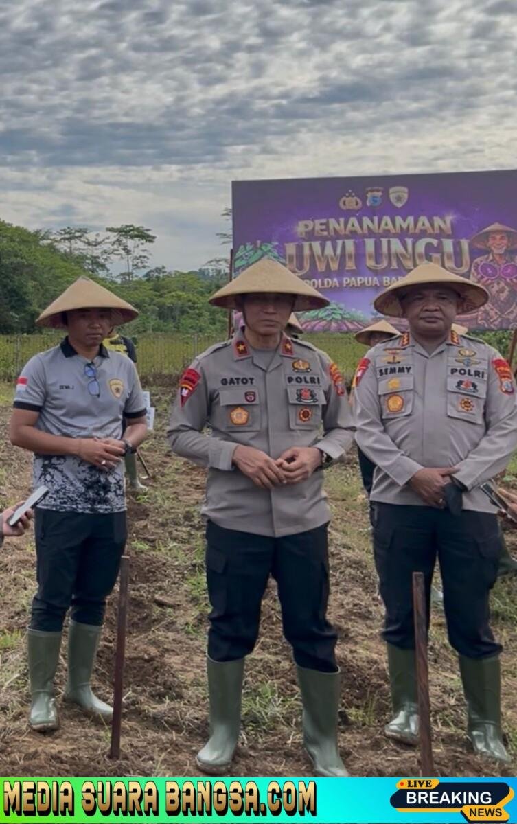 Kapolda Papua Barat Daya Pimpin Penanaman 500 Tunas Uwi Ungu untuk Ketahanan Pangan
