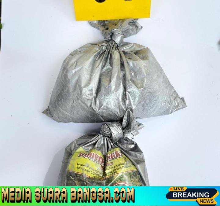 Operasi Pekat Polres Batu Sita Bahan Peledak Amankan 2 Orang Pembuat Mercon