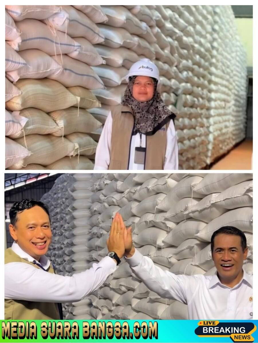 Rekor Historis! Stok Beras Nasional Tembus 5 Juta Ton, BULOG Banyuwangi Kontribusi 127 Ribu Ton