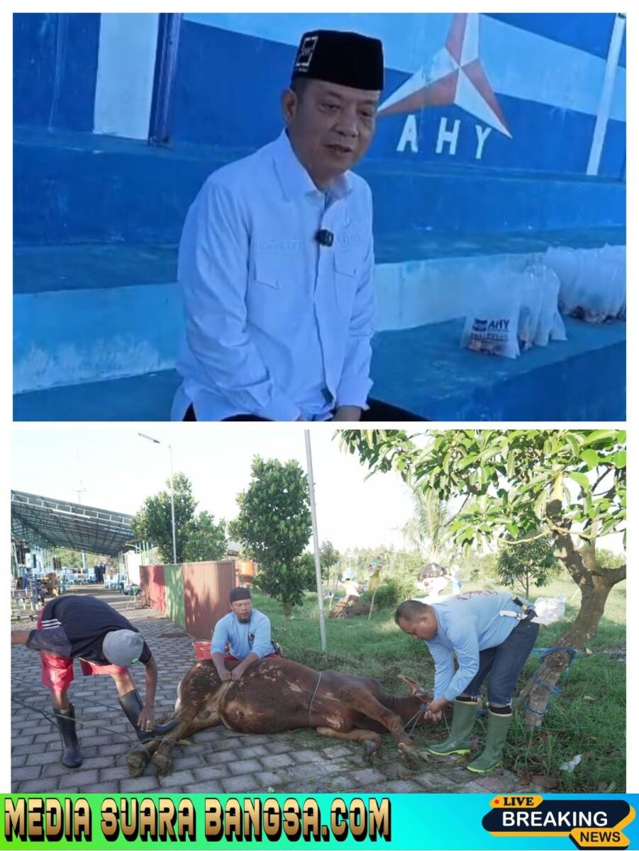 DPC Partai Demokrat Banyuwangi Sembelih Sapi Kurban di Lapangan AHY FC, Wujud Kebersamaan dan Kepedulian Sosial