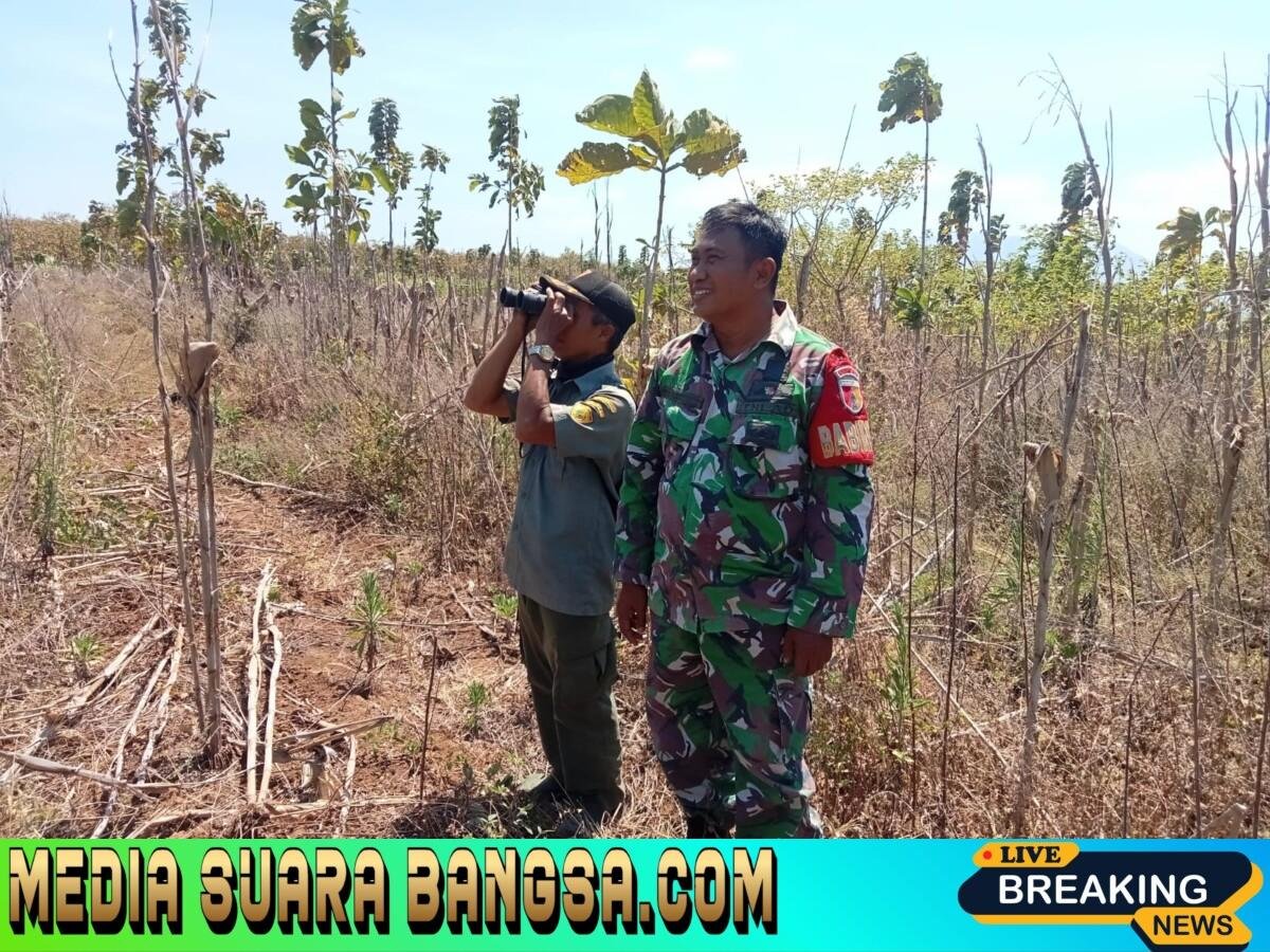 Kobaran Api Gunung Carengeh Belum Padam, Perbatasan Banyuwangi-Bondowoso Dipantau Ketat