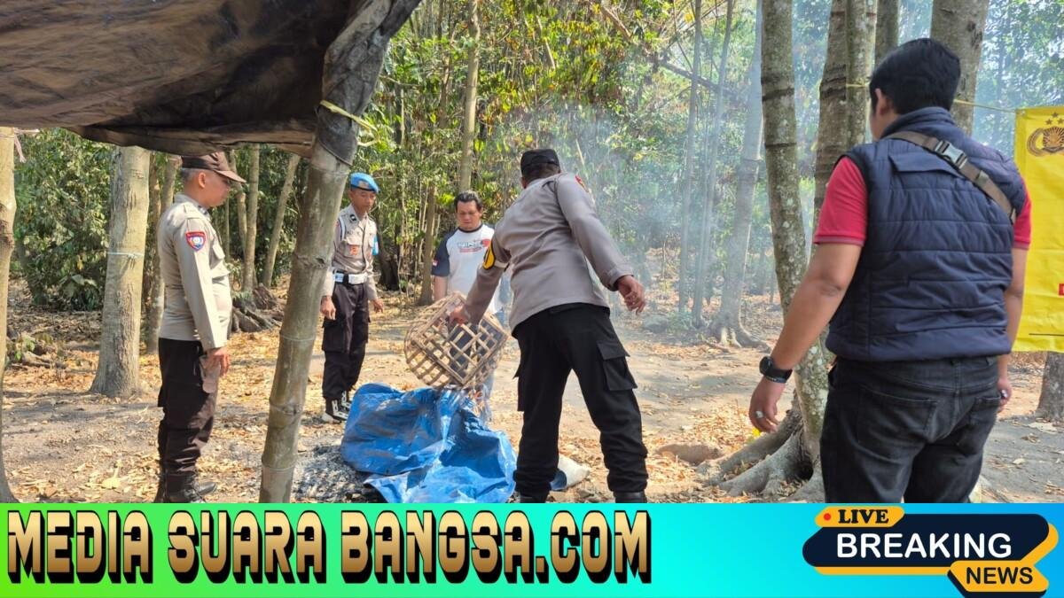 Respon Cepat Aduan Masyarakat, Polres Kediri Bongkar Arena Sabung Ayam di Plosorejo