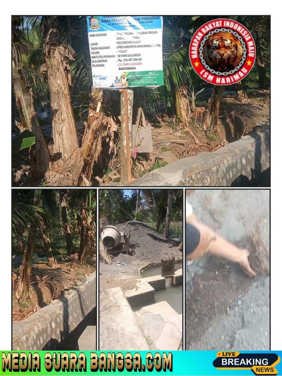 LSM Harimau Soroti Proyek Irigasi di Desa Pendarungan, Diduga Tak Sesuai Spesifikasi